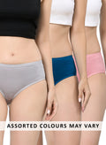 Prestina Panty (Pack Of - 3 Assorted Colours May Vary)